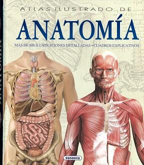 ATLAS ILUSTRADO DE ANATOMIA | 9788430534784 | RIGUTTI, ADRIANA | Llibreria Geli - Llibreria Online de Girona - Comprar llibres en català i castellà