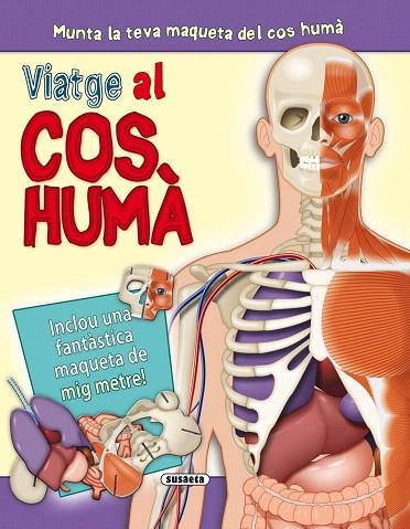 VIATGE AL COS HUMÀ | 9788467723212 |   | Libreria Geli - Librería Online de Girona - Comprar libros en catalán y castellano