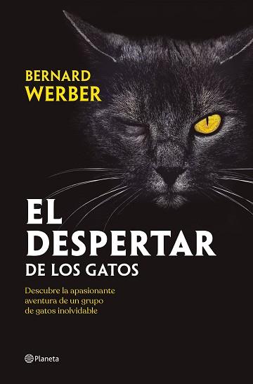 EL DESPERTAR DE LOS GATOS | 9788408251835 | WERBER,BERNARD | Libreria Geli - Librería Online de Girona - Comprar libros en catalán y castellano