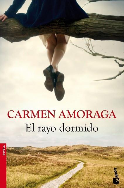 EL RAYO DORMIDO | 9788423346714 | AMORAGA,CARMEN | Llibreria Geli - Llibreria Online de Girona - Comprar llibres en català i castellà