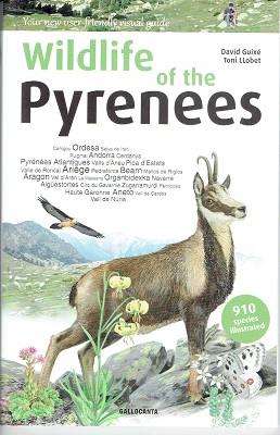 WILDLIFE OF THE PYRENEES | 9788415885535 | GUIXÉ COROMINES,DAVID | Llibreria Geli - Llibreria Online de Girona - Comprar llibres en català i castellà