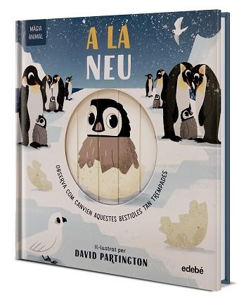 MÀGIA ANIMAL: A LA NEU | 9788468372150 | CLARK, NEIL/STONE, HARRIET | Llibreria Geli - Llibreria Online de Girona - Comprar llibres en català i castellà