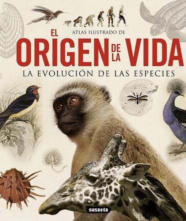 EL ORIGEN DE LA VIDA | 9788467713336 | Llibreria Geli - Llibreria Online de Girona - Comprar llibres en català i castellà