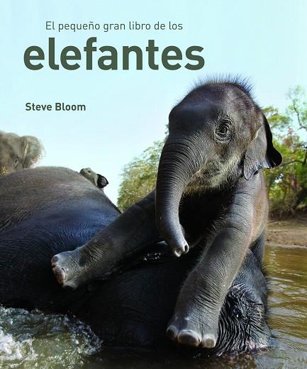 EL PEQUEÑO GRAN LIBRO DE LOS ELEFANTES | 9788497543057 | BLOOM,STEVE | Llibreria Geli - Llibreria Online de Girona - Comprar llibres en català i castellà