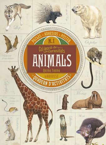 ANIMALS.QUINA FAUNA | 9788416641703 | 0 | Llibreria Geli - Llibreria Online de Girona - Comprar llibres en català i castellà