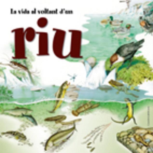 LA VIDA AL VOLTANT D'UN RIU | 9788497913409 | CUCCHIARINI, FERRUCCIO | Llibreria Geli - Llibreria Online de Girona - Comprar llibres en català i castellà