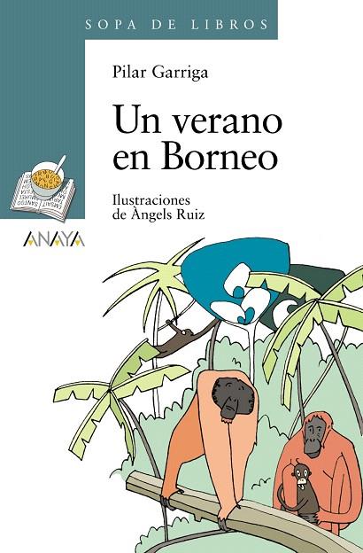 UN VERANO EN BORNEO | 9788466784283 | GARRIGA,PILAR | Llibreria Geli - Llibreria Online de Girona - Comprar llibres en català i castellà