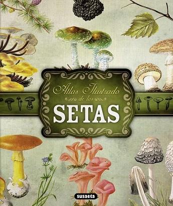 SETAS(ATLAS ILUSTRADO) | 9788467722871 | BECKER,GEORGES | Libreria Geli - Librería Online de Girona - Comprar libros en catalán y castellano