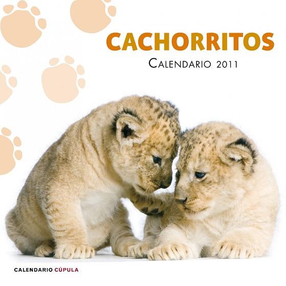 CACHORRITOS CALENDARIO 2011 | 9788448068257 | AA. VV. | Llibreria Geli - Llibreria Online de Girona - Comprar llibres en català i castellà