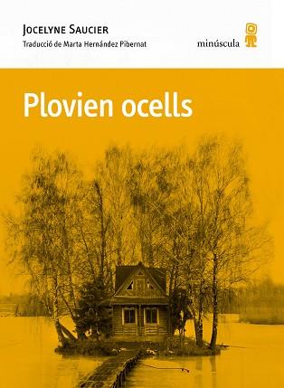 PLOVIEN OCELLS | 9788412662092 | SAUCIER, JOCELYNE | Llibreria Geli - Llibreria Online de Girona - Comprar llibres en català i castellà