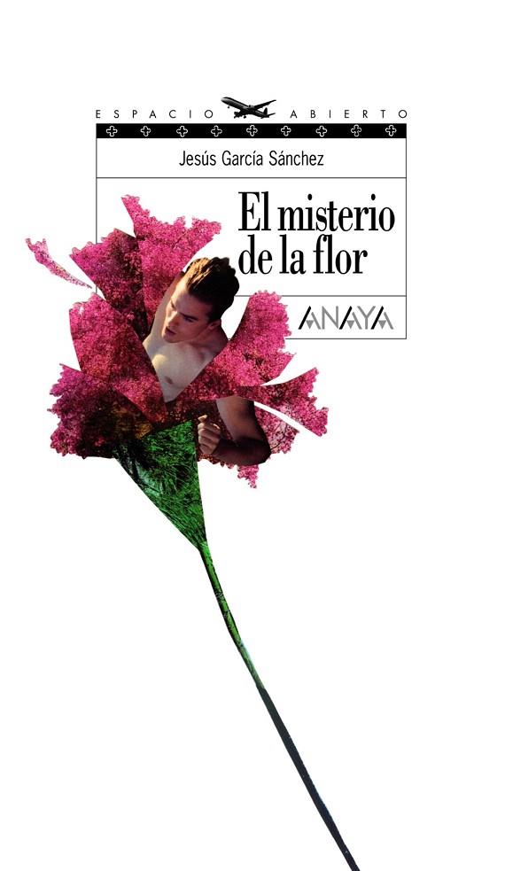 EL MISTERIO DE LA FLOR | 9788466753562 | GARCIA SANCHEZ,JESUS | Llibreria Geli - Llibreria Online de Girona - Comprar llibres en català i castellà