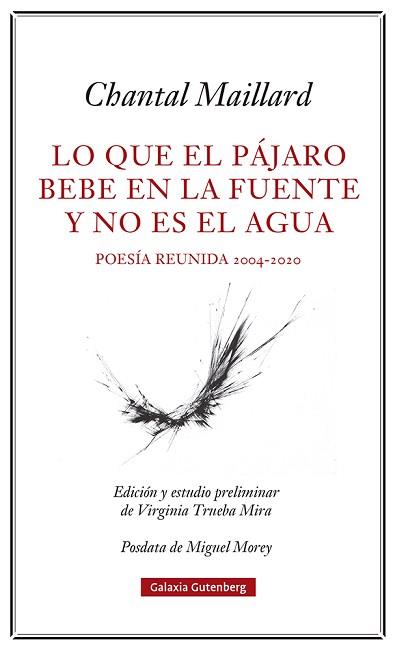 LO QUE EL PÁJARO BEBE EN LA FUENTE Y NO ES EL AGUA | 9788418807633 | MAILLARD,CHANTAL | Libreria Geli - Librería Online de Girona - Comprar libros en catalán y castellano