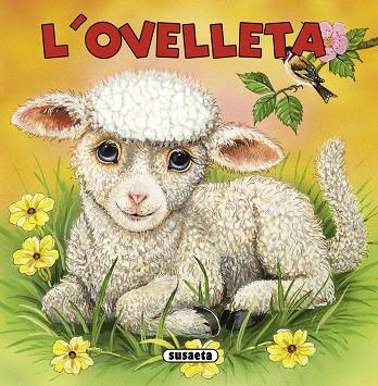 L'OVELLETA | 9788467713879 | Llibreria Geli - Llibreria Online de Girona - Comprar llibres en català i castellà