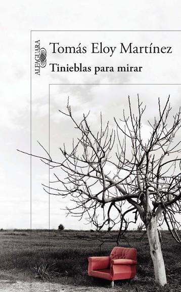 TINIEBLAS PARA MIRAR | 9788420418001 | MARTINEZ,TOMAS ELOY | Llibreria Geli - Llibreria Online de Girona - Comprar llibres en català i castellà