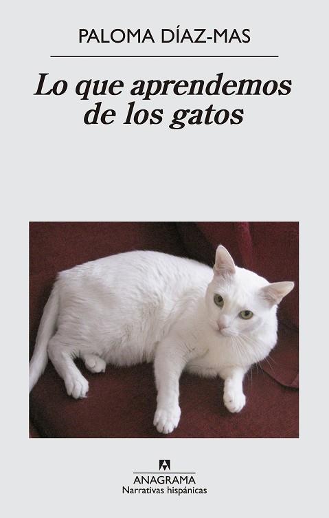 LO QUE APRENDEMOS DE LOS GATOS | 9788433997807 | DÍAZ MAS,PALOMA | Llibreria Geli - Llibreria Online de Girona - Comprar llibres en català i castellà