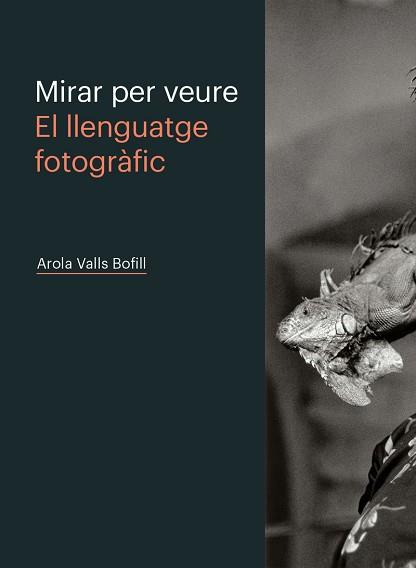 MIRAR PER VEURE.EL LLENGUATGE FOTOGRÀFIC | 9788498448603 | VALLS BOFILL,AROLA | Llibreria Geli - Llibreria Online de Girona - Comprar llibres en català i castellà