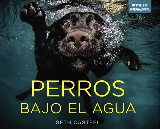 PERROS BAJO EL AGUA | 9788441534612 | CASTEEL,SETH | Libreria Geli - Librería Online de Girona - Comprar libros en catalán y castellano