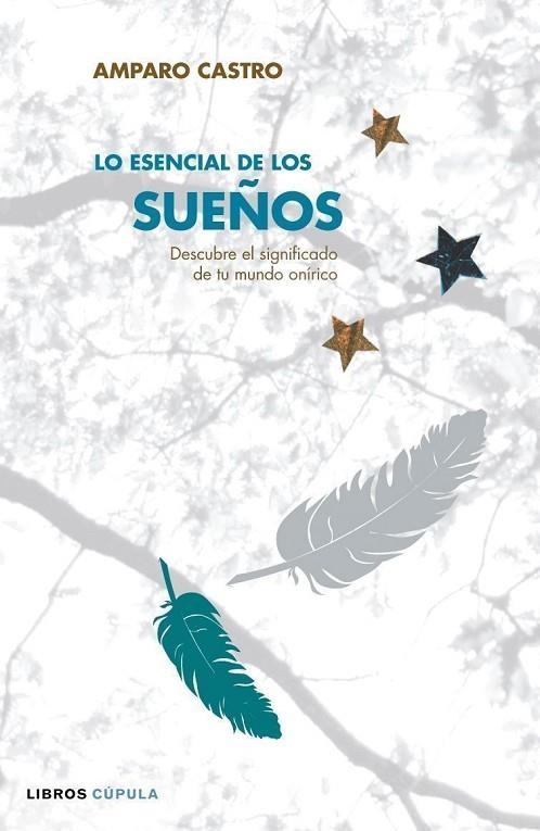 LO ESENCIAL DE LOS SUEÑOS | 9788448047719 | CASTRO.AMAPARO | Llibreria Geli - Llibreria Online de Girona - Comprar llibres en català i castellà