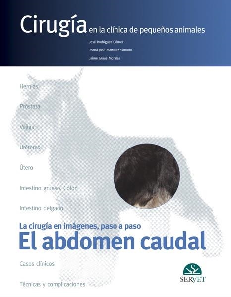 EL ABDOMEN CAUDAL | 9788493473693 | RODRIGUEZ GOMEZ,JOSE | Llibreria Geli - Llibreria Online de Girona - Comprar llibres en català i castellà