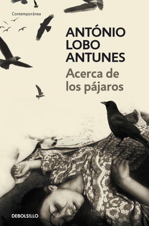 ACERCA DE LOS PAJAROS | 9788483469163 | BANQUERI FORN-SANDÓ,EDUARDO | Llibreria Geli - Llibreria Online de Girona - Comprar llibres en català i castellà