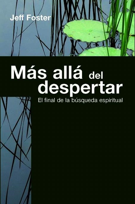 MAS ALLA DEL DESPERTAR.EL FINAL DE LA BUSQUEDA ESPIRITUAL | 9788472456921 | FOSTER,JEFF | Llibreria Geli - Llibreria Online de Girona - Comprar llibres en català i castellà