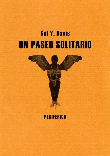 UN PASEO SOLITARIO | 9788493692636 | DAVIS,GUY Y. | Llibreria Geli - Llibreria Online de Girona - Comprar llibres en català i castellà