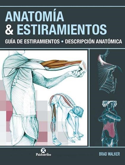 ANATOMIA & ESTIRAMIENTOS | 9788499100012 | WALKER,BRAD | Llibreria Geli - Llibreria Online de Girona - Comprar llibres en català i castellà