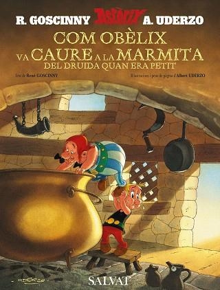 COM OBELIX VA CAURE A LA MARMITA DEL DRUIDA QUAN ERA PETIT | 9788421683309 | GOSCINNY/UDERZO | Llibreria Geli - Llibreria Online de Girona - Comprar llibres en català i castellà