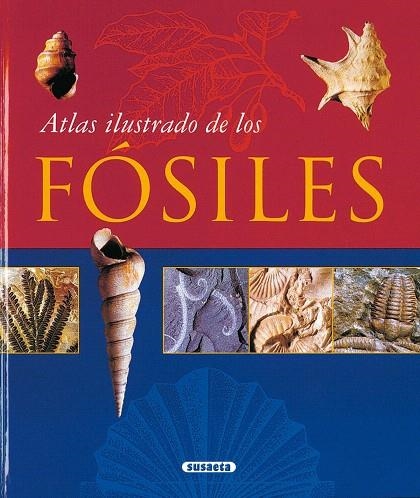 ATLAS ILUSTRADO DE LOS FOSILES | 9788430548712 |    | Libreria Geli - Librería Online de Girona - Comprar libros en catalán y castellano