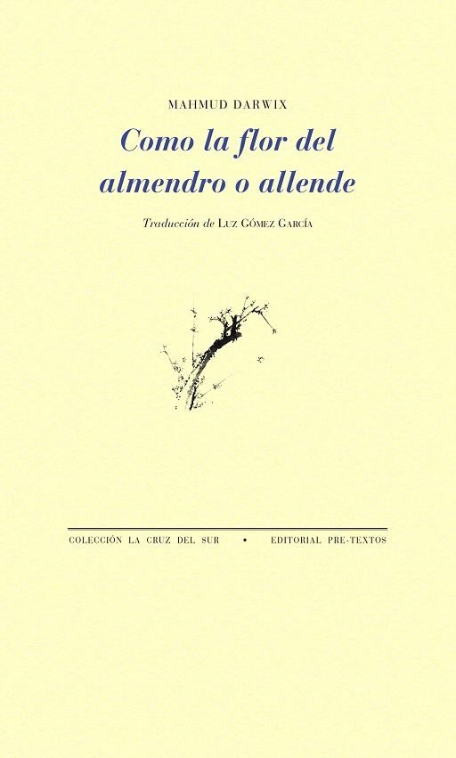 COMO LA FLOR DEL AMENDRO O ALLENDE | 9788481919738 | DARWIX,MAHMUD | Llibreria Geli - Llibreria Online de Girona - Comprar llibres en català i castellà