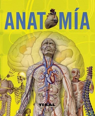 ANATOMIA | 9788499280011 | AA.VV | Llibreria Geli - Llibreria Online de Girona - Comprar llibres en català i castellà