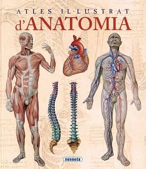 ATLES IL.LUSTRAT D'ANATOMIA | 9788467702101 | RIGUTTI, ADRIANA | Llibreria Geli - Llibreria Online de Girona - Comprar llibres en català i castellà