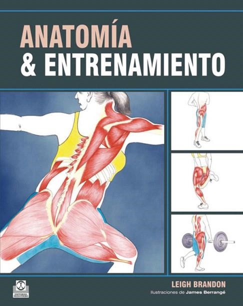 ANATOMIA & ENTRENAMIENTO | 9788499100548 | BRANDON,LEIGH | Llibreria Geli - Llibreria Online de Girona - Comprar llibres en català i castellà