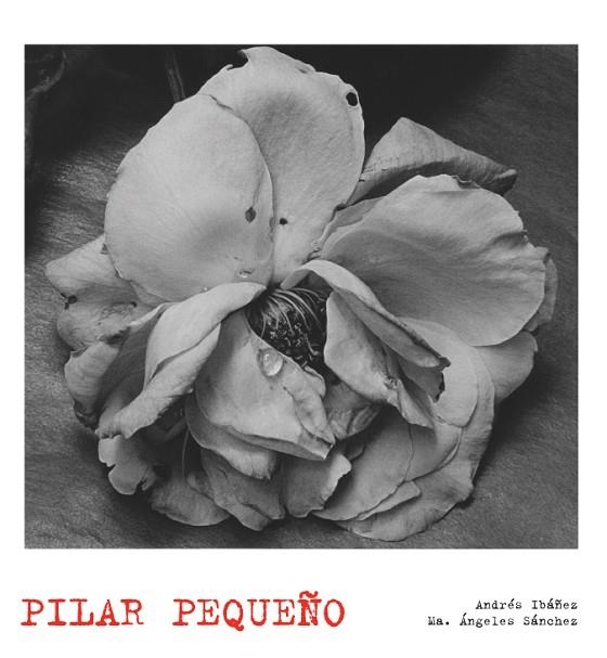 PILAR PEQUEÑO | 9788497856874 | IBAÑEZ,ANDRES/SANCHEZ,MARIA ANGELES | Llibreria Geli - Llibreria Online de Girona - Comprar llibres en català i castellà