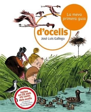 LA MEVA PRIMERA GUIA D'OCELLS | 9788424633721 | GALLEGO,JOSE LUIS | Llibreria Geli - Llibreria Online de Girona - Comprar llibres en català i castellà