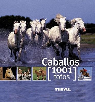 CABALLOS (1001 FOTOS) | 9788499280875 | Llibreria Geli - Llibreria Online de Girona - Comprar llibres en català i castellà