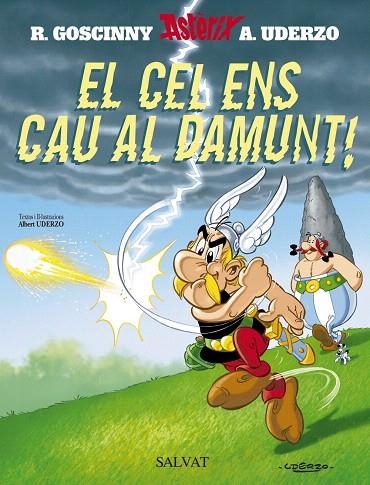 EL CEL ENS CAU AL DAMUNT | 9788434504073 | GOSCINNY,R./UDERZO,A. | Libreria Geli - Librería Online de Girona - Comprar libros en catalán y castellano