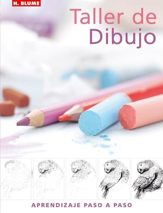 TALLER DE DIBUJO | 9788496669031 | WATSON, LUCY | Libreria Geli - Librería Online de Girona - Comprar libros en catalán y castellano