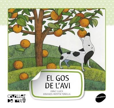 EL GOS DE L'AVI | 9788415095507 | LLUCH,E | Llibreria Geli - Llibreria Online de Girona - Comprar llibres en català i castellà