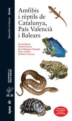 AMFIBIS I REPTILS DE CATALUNYA,PAIS VALENCIA I BALEARS | 9788496553538 | RIVERA,XAVIER/ESCORIZA,DANIEL | Libreria Geli - Librería Online de Girona - Comprar libros en catalán y castellano