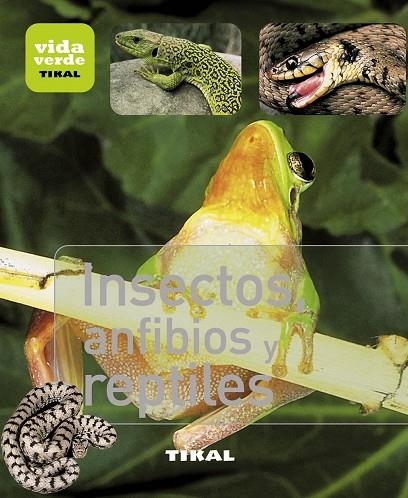 INSECTOS,ANFIBIOS Y REPTILES | 9788499281377 | Llibreria Geli - Llibreria Online de Girona - Comprar llibres en català i castellà