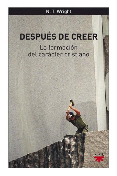 DESPUÉS DE CREER | 9788428824026 | WRIGHT,NICHOLAS THOMAS | Libreria Geli - Librería Online de Girona - Comprar libros en catalán y castellano