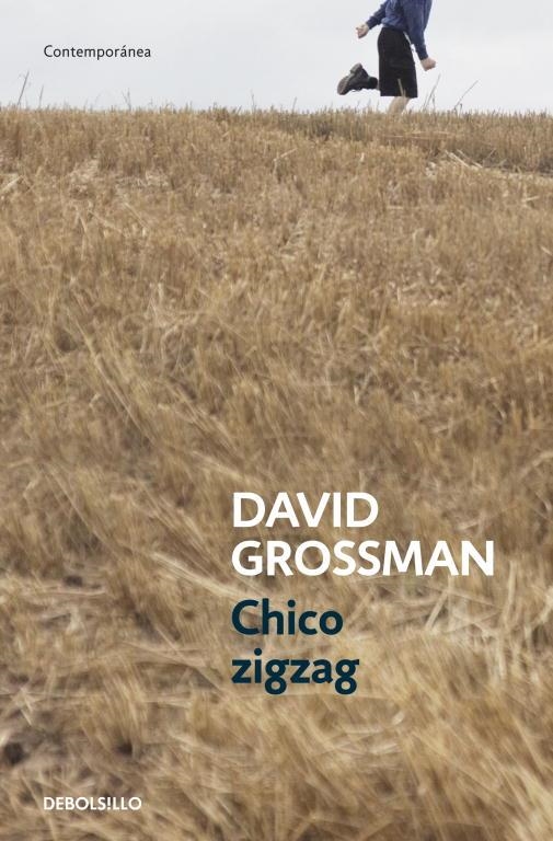 CHICO ZIGZAG | 9788499894805 | GROSSMAN,DAVID | Llibreria Geli - Llibreria Online de Girona - Comprar llibres en català i castellà