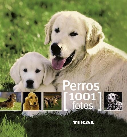 PERROS(1001 FOTOS) | 9788499280851 | Llibreria Geli - Llibreria Online de Girona - Comprar llibres en català i castellà