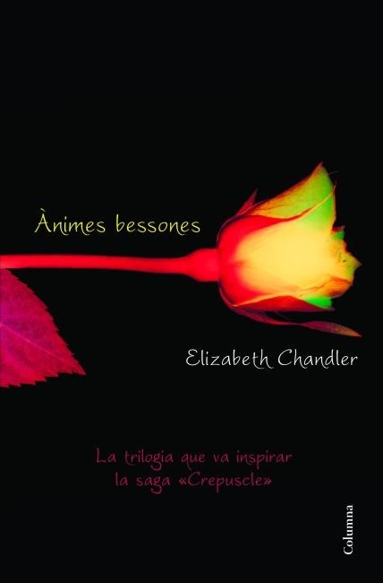 ÀNIMES BESSONES | 9788466415101 | CHANDLER,ELIZABETH | Llibreria Geli - Llibreria Online de Girona - Comprar llibres en català i castellà