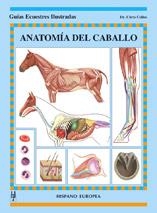 ANATOMIA DEL CABALLO | 9788425515736 | COLLES, CHRIS | Llibreria Geli - Llibreria Online de Girona - Comprar llibres en català i castellà