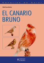 EL CANARIO BRUNO | 9788425517143 | CUEVAS MARTINEZ,RAFAEL | Llibreria Geli - Llibreria Online de Girona - Comprar llibres en català i castellà