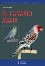 EL CANARIO AGATA | 9788425518638 | CUEVAS MARTINEZ,RAFAEL | Llibreria Geli - Llibreria Online de Girona - Comprar llibres en català i castellà