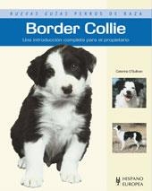 BORDER COLLIE | 9788425519475 | O'SULLIVAN,CATERINA | Llibreria Geli - Llibreria Online de Girona - Comprar llibres en català i castellà