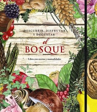 EL BOSQUE.DESCUBRIR,DISFRUTAR Y DEGUSTAR | 9788415411352 | LAPORTE,AMANDA/MONNÉ,TONI/VAN GINKE,ASTRID | Libreria Geli - Librería Online de Girona - Comprar libros en catalán y castellano